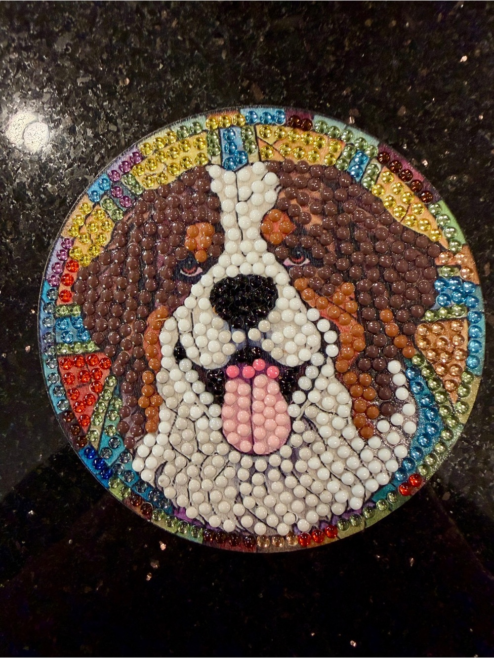 Custom Mosaic Dog Coasters (Set of 7) - Picture 5 of 9